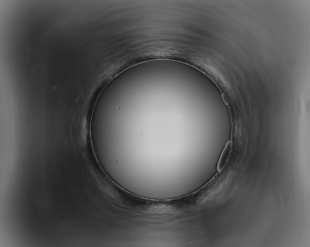 X0000094430397200711081023