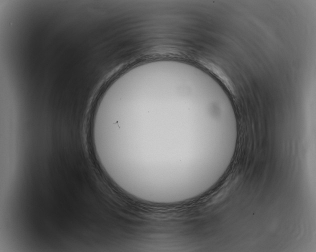 X0000094430399200711081023