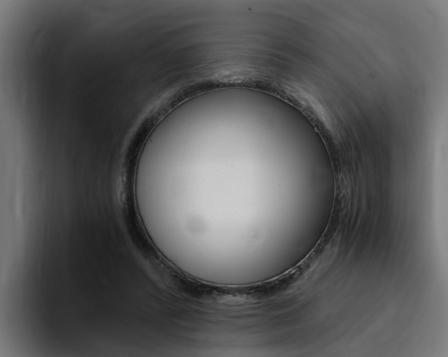 X0000094430400200711081023