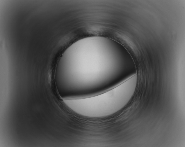 X0000094430404200711081023
