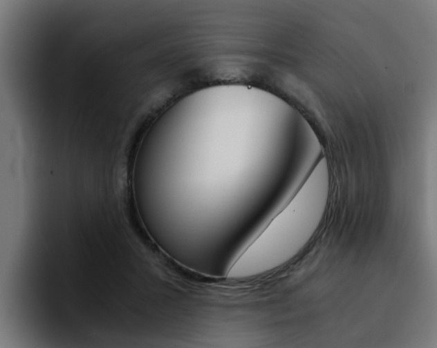 X0000094430407200711081023