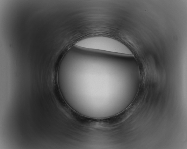 X0000094430408200711081023