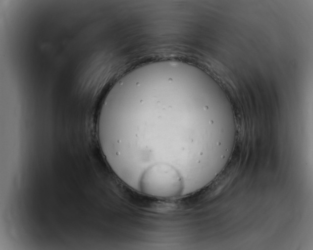 X0000094430418200711081023