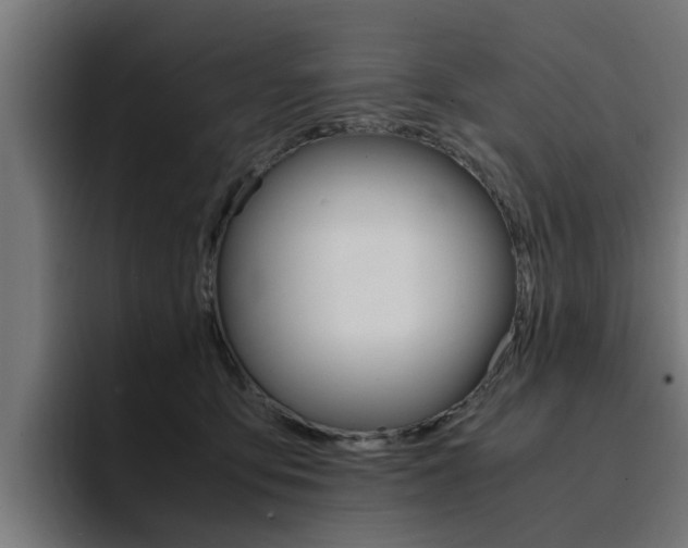 X0000094430419200711081023