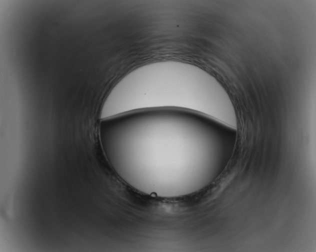 X0000094430420200711081023