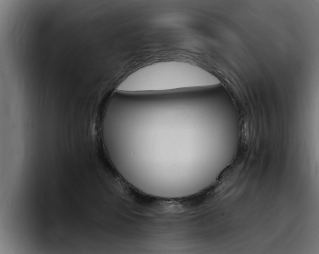 X0000094430424200711081023
