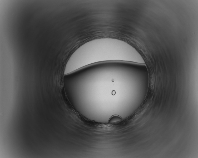X0000094430428200711081023