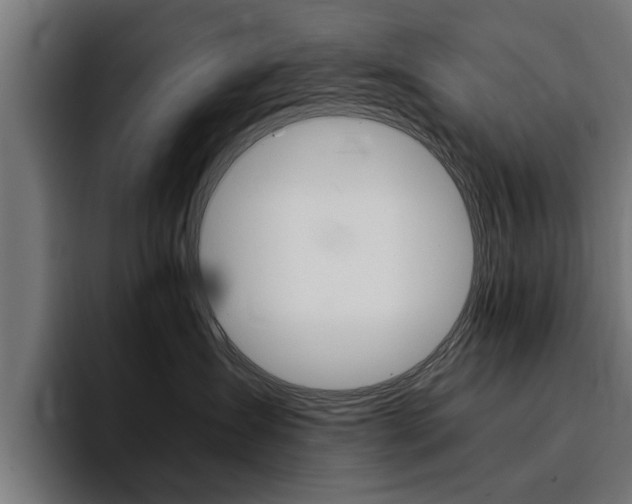 X0000094430431200711081023