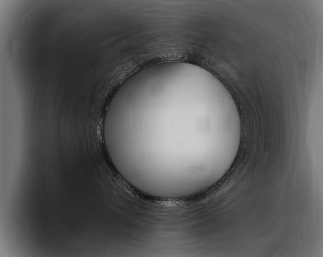 X0000094430432200711081023