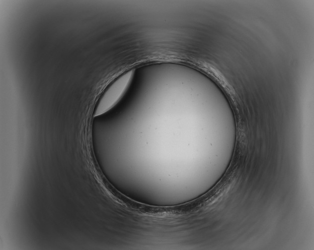 X0000094430433200711081022