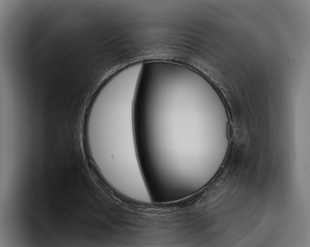X0000094430434200711081022
