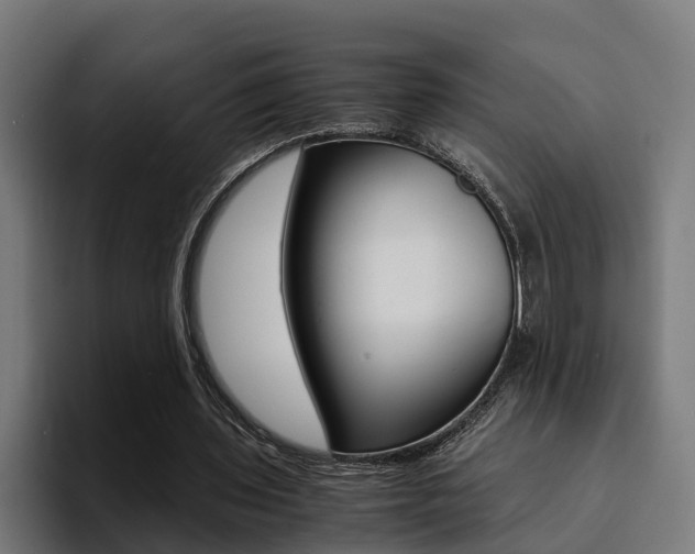 X0000094430435200711081022