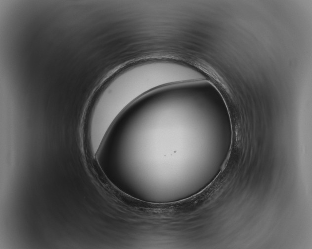 X0000094430436200711081022