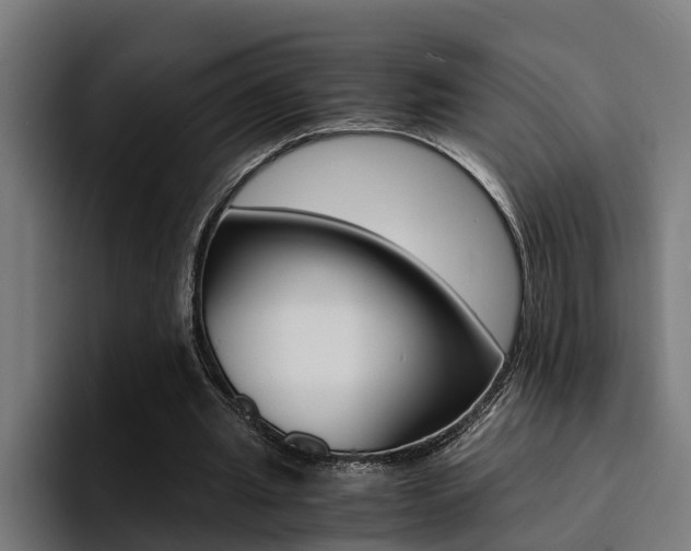 X0000094430437200711081022