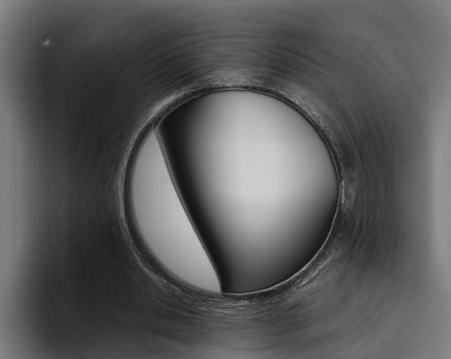 X0000094430438200711081022