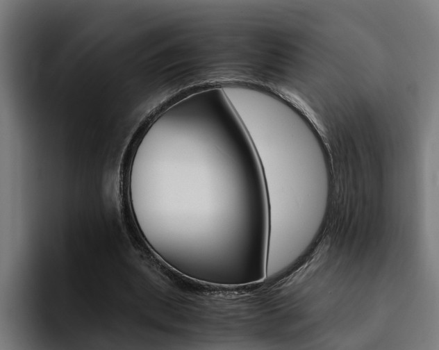 X0000094430439200711081022