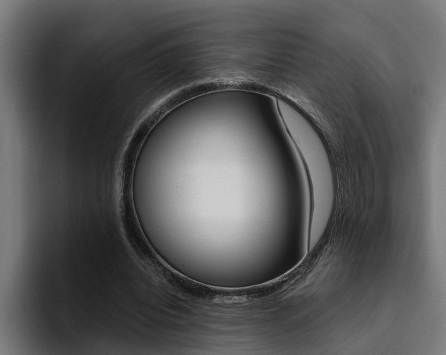 X0000094430440200711081022
