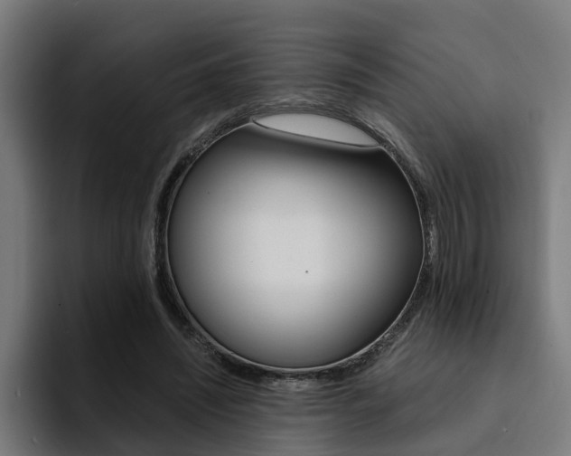 X0000094430444200711081022