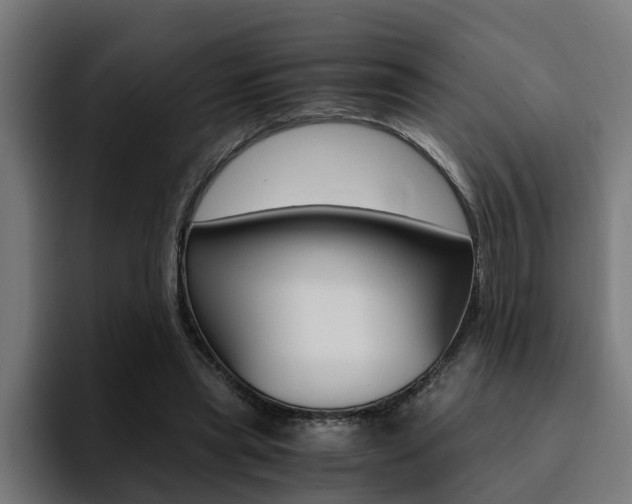 X0000094430445200711081022