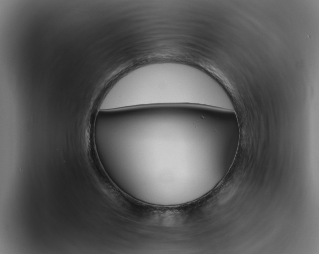 X0000094430446200711081022