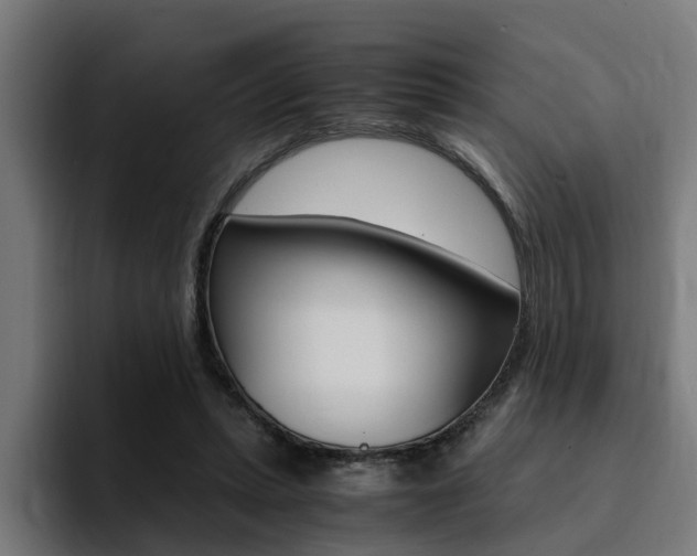 X0000094430447200711081022