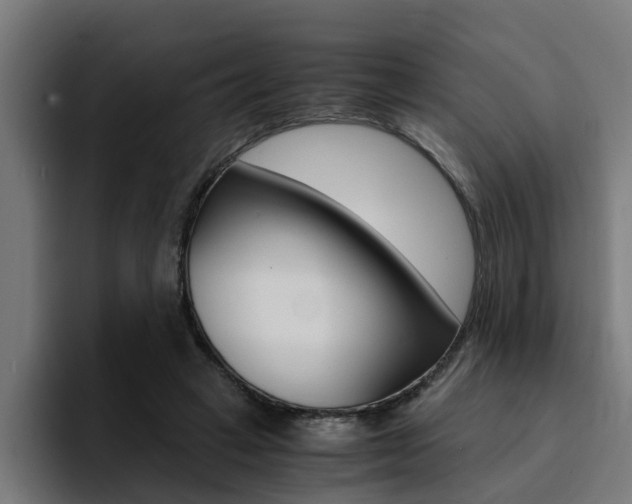 X0000094430449200711081022