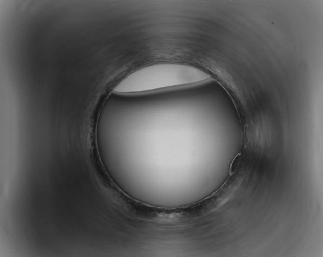X0000094430450200711081022