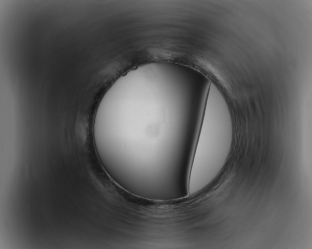 X0000094430451200711081022