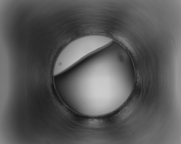 X0000094430453200711081022