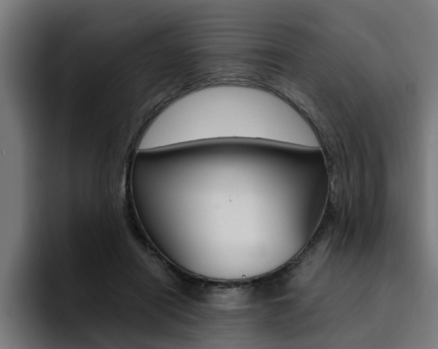 X0000094430454200711081022