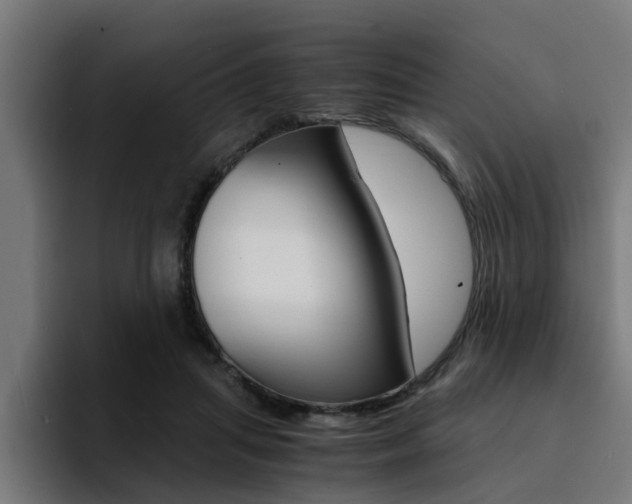 X0000094430455200711081022