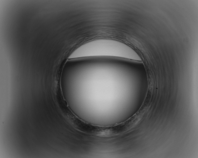 X0000094430456200711081022