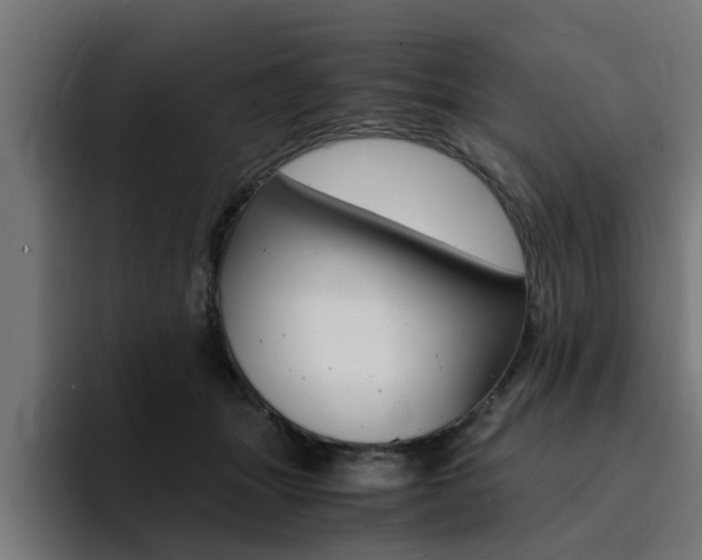 X0000094430463200711081022