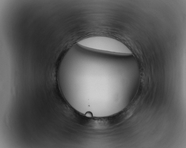 X0000094430466200711081022