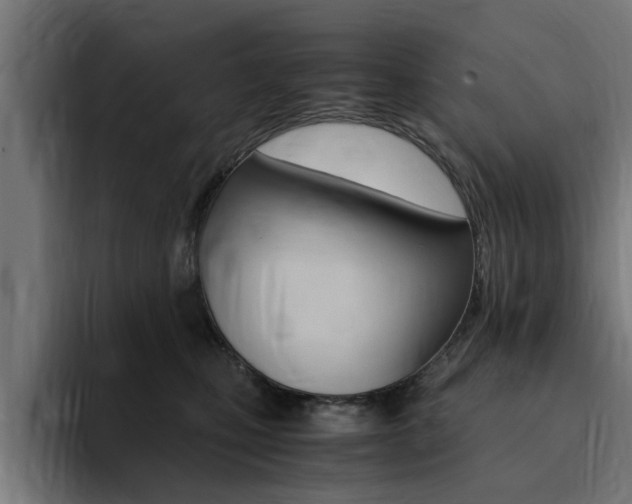 X0000094430471200711081022