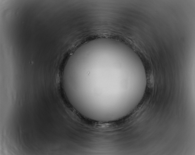 X0000094430472200711081022