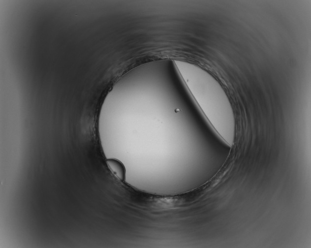 X0000094430473200711081022