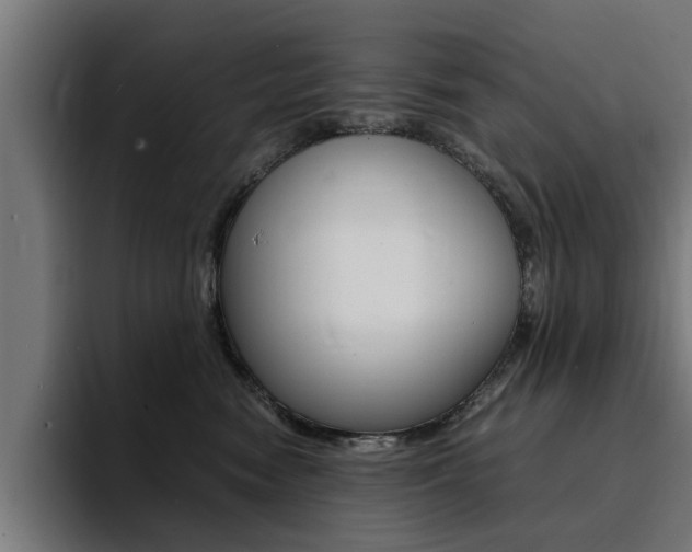 X0000094430474200711081022