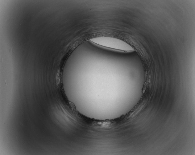 X0000094430478200711081023