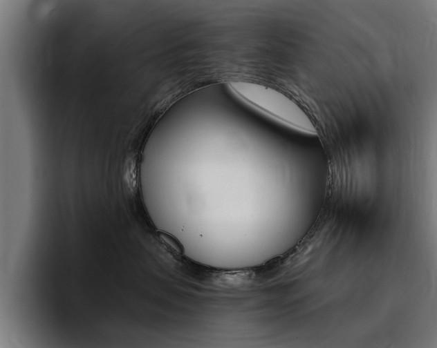 X0000094430479200711081023