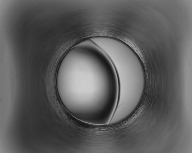 X0000094430481200711081022