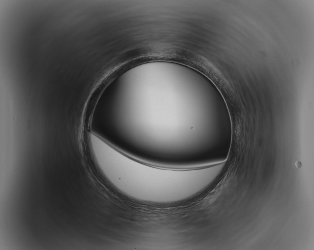 X0000094430484200711081022