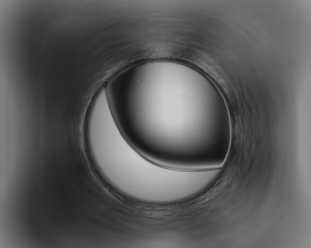 X0000094430485200711081022