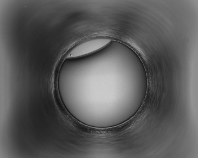 X0000094430486200711081022