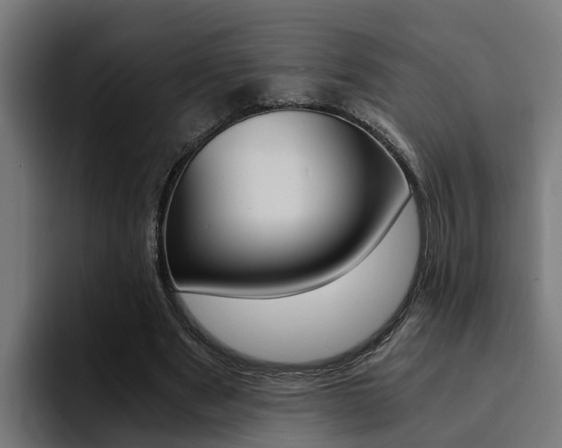 X0000094430489200711081022