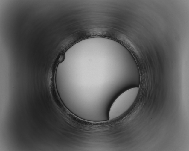 X0000094430490200711081022