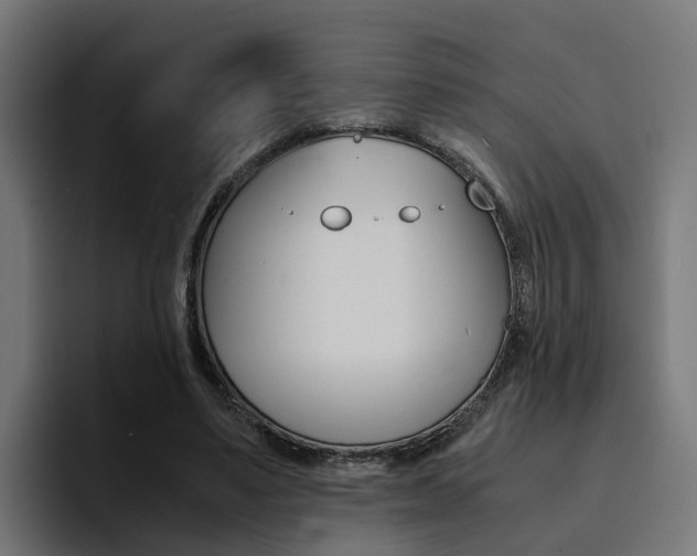 X0000094430491200711081022