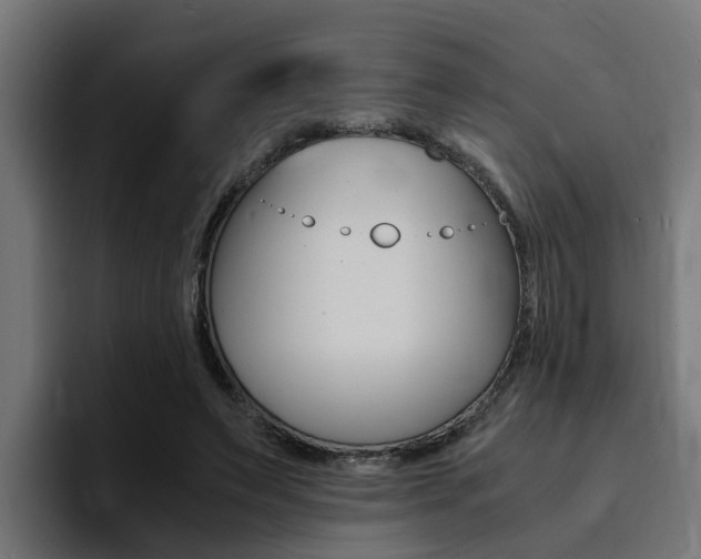 X0000094430495200711081022