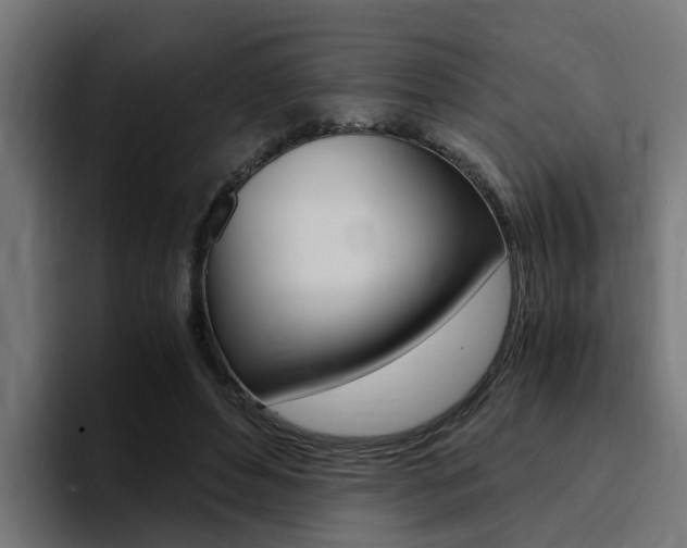 X0000094430496200711081022