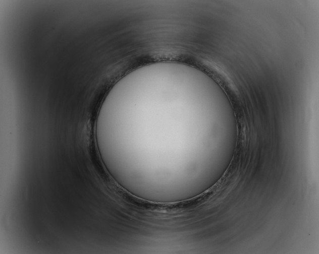X0000094430498200711081022